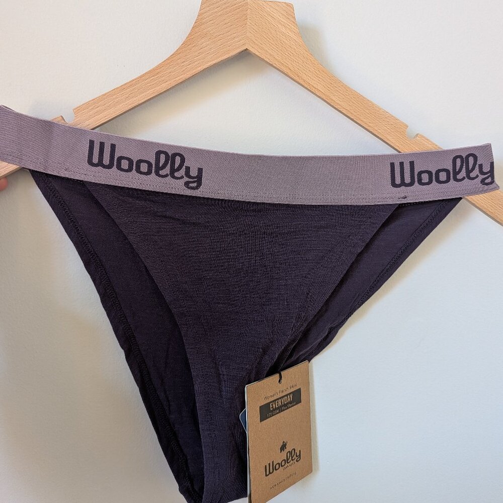 NWT 2 pair Woolly Women's Merino Wool Panties